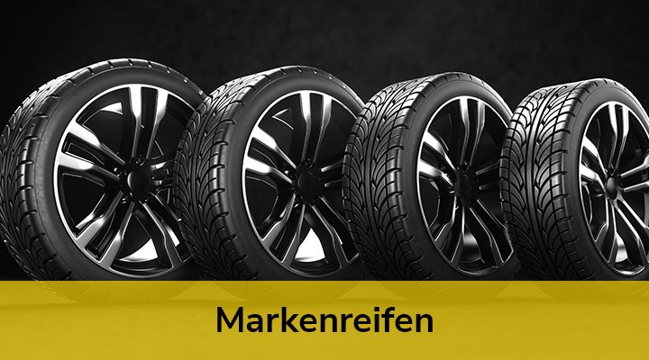 Marderschreck Marderschreck