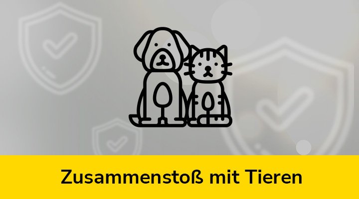 Zusammenstoß mit Tieren