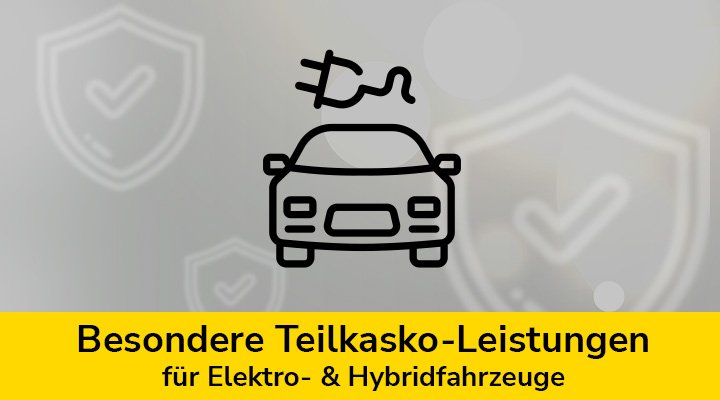 Besondere Teilkasko-Leistungen